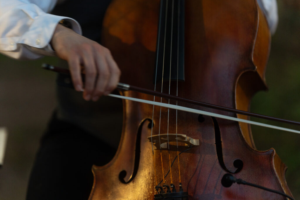 Professional cellist performing live music at an elegant event.